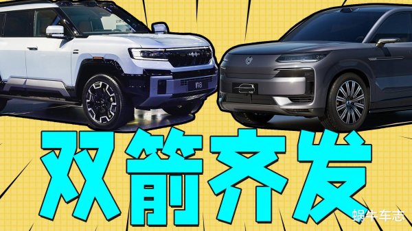 现金九游体育app平台比亚迪无论劝诫实力照旧时代积存-九游体育官网 九游娱乐(NineGameSports)官方网站