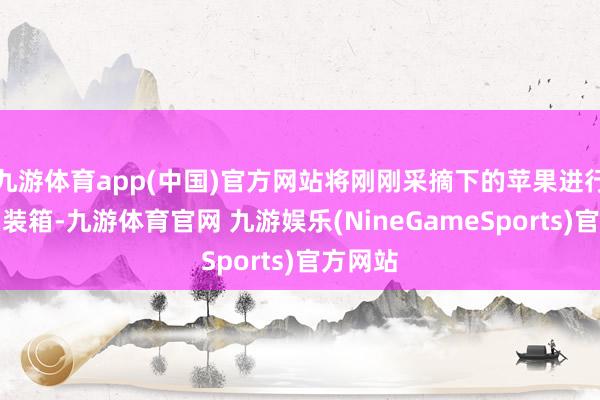 九游体育app(中国)官方网站将刚刚采摘下的苹果进行分拣、装箱-九游体育官网 九游娱乐(NineGameSports)官方网站