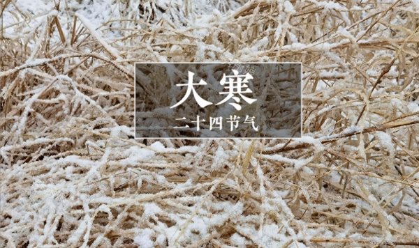 现金九游体育app平台鸡精少量范例如下：将羊排洗净后斩成大块-九游体育官网 九游娱乐(NineGameSports)官方网站