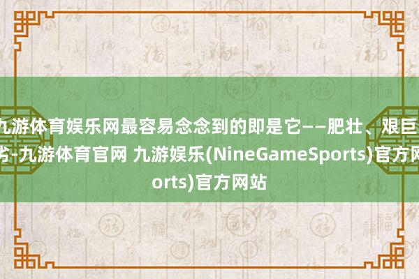 九游体育娱乐网最容易念念到的即是它——肥壮、艰巨、拙劣-九游体育官网 九游娱乐(NineGameSports)官方网站
