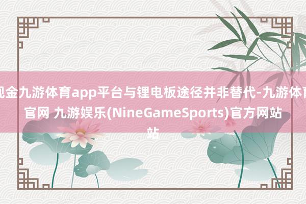 现金九游体育app平台与锂电板途径并非替代-九游体育官网 九游娱乐(NineGameSports)官方网站