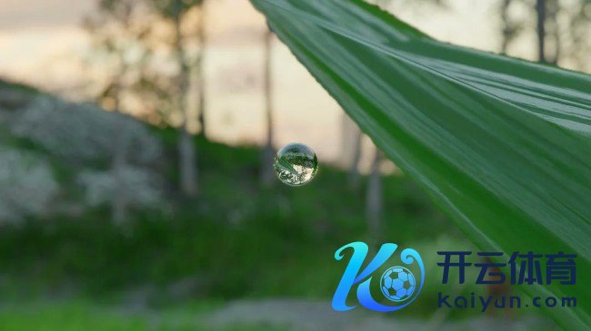 《红色沙漠》惊东谈主细节 一颗小水珠竟能反照周遭环境