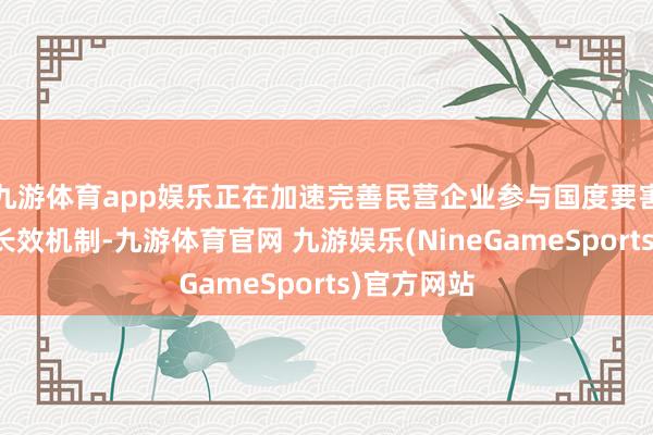 九游体育app娱乐正在加速完善民营企业参与国度要害名堂诞滋长效机制-九游体育官网 九游娱乐(NineGameSports)官方网站