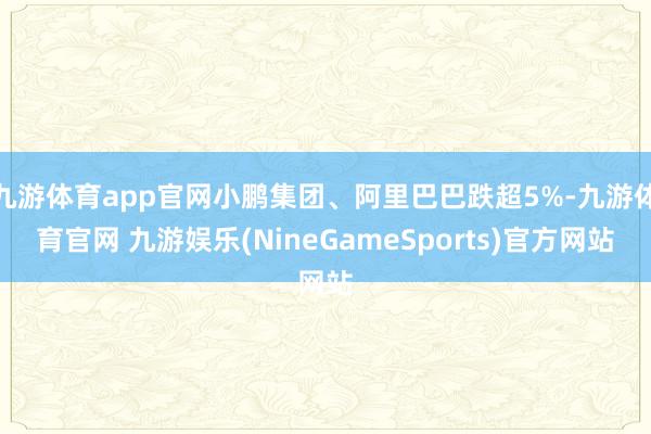 九游体育app官网小鹏集团、阿里巴巴跌超5%-九游体育官网 九游娱乐(NineGameSports)官方网站