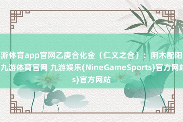 九游体育app官网乙庚合化金(仁义之合):阴木配阳金-九游体育官网 九游娱乐(NineGameSports)官方网站