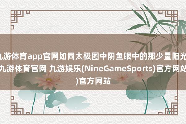 九游体育app官网如同太极图中阴鱼眼中的那少量阳光-九游体育官网 九游娱乐(NineGameSports)官方网站
