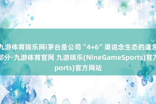九游体育娱乐网i茅台是公司“4+6”渠说念生态的遑急构成部分-九游体育官网 九游娱乐(NineGameSports)官方网站